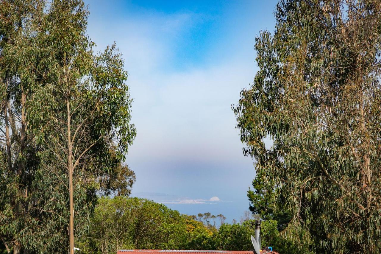 Cabana En Tunquen Con Parrilla, Fogon, Piscina Y Bosque Exterior photo